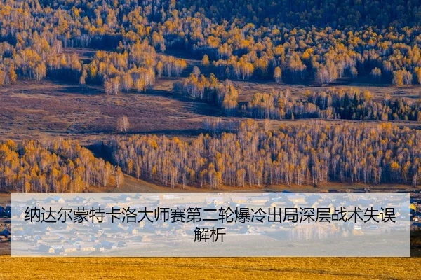 na-da-er-meng-te-ka-luo-da-shi-sai-di-er-lun-bao-leng-chu-ju-shen-ceng-zhan-shu-shi-wu-jie-xi-2-917.jpg